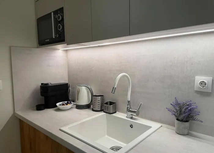 公寓 C1 Tsimiski 塞萨洛尼基